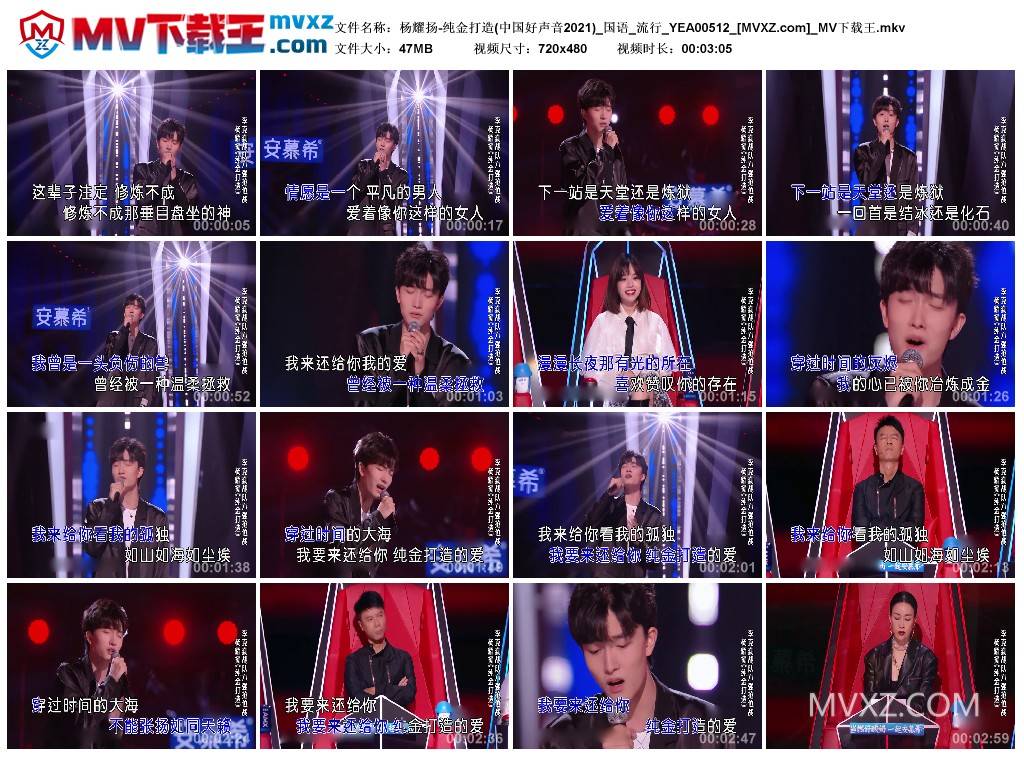 杨耀扬-纯金打造(中国好声音2021)_国语_流行_YEA00512